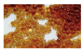 Resina de Intercambio Iónico