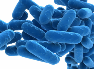 Nutrientes bacterianos